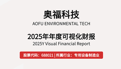 2025年年度可视化财报